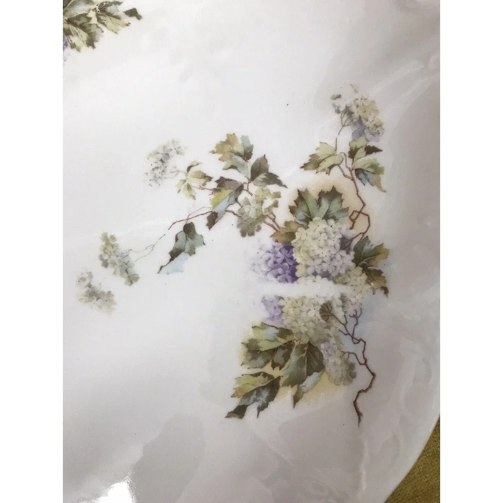 Vintage RARE Habsburg Porcelain China 996 Oval Serving Platter MZ Austria Flower